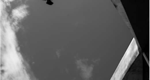 Service Image